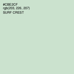 #CBE2CF - Surf Crest Color Image